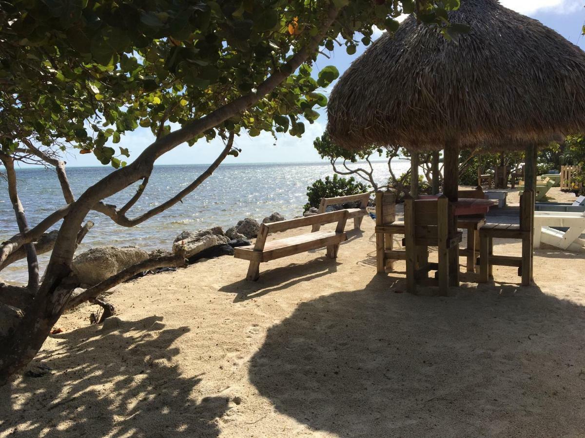 Licensed Mgr - Modern Oceanfront Condo! Beautiful Ocean Views! Beach Resort! 2 King Beds! Key Largo Esterno foto