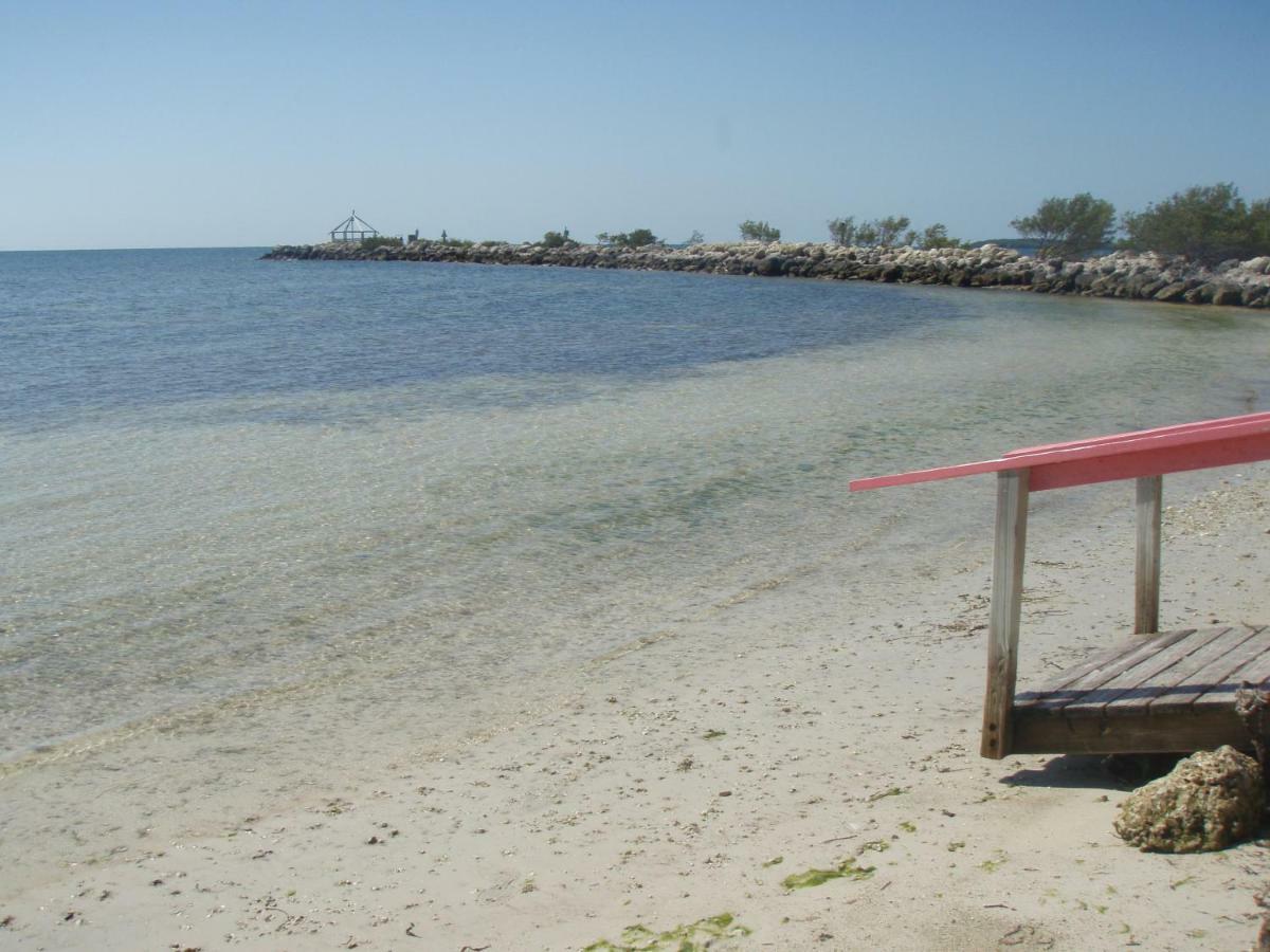Licensed Mgr - Modern Oceanfront Condo! Beautiful Ocean Views! Beach Resort! 2 King Beds! Key Largo Esterno foto