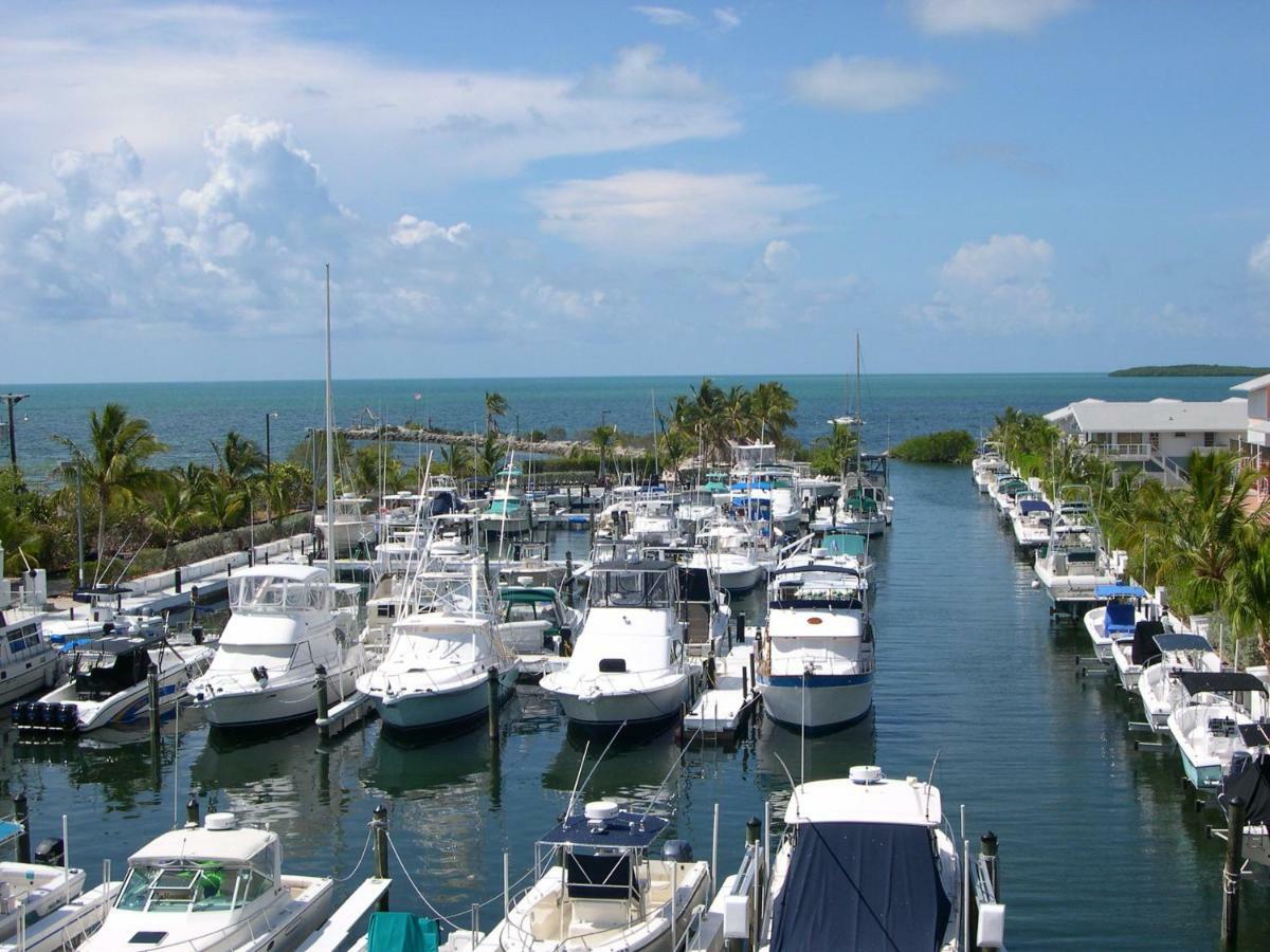 Licensed Mgr - Modern Oceanfront Condo! Beautiful Ocean Views! Beach Resort! 2 King Beds! Key Largo Esterno foto